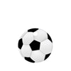 Soccer Ball Pet ID Tag